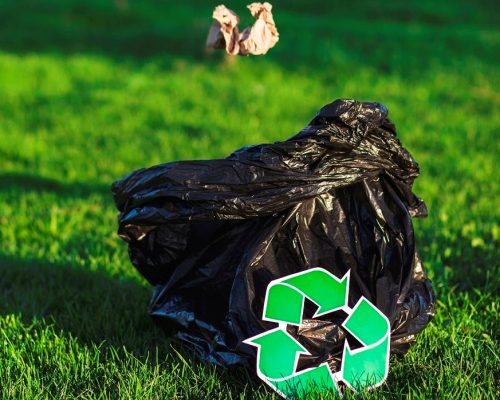 recycle-concept-with-woman-collecting-trash recycle-concept-with-woman-collecting-trash